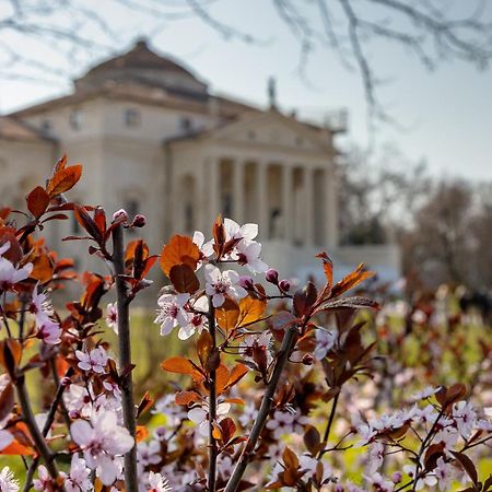 Appartamentopalladio140 Vicenza Eksteriør bilde