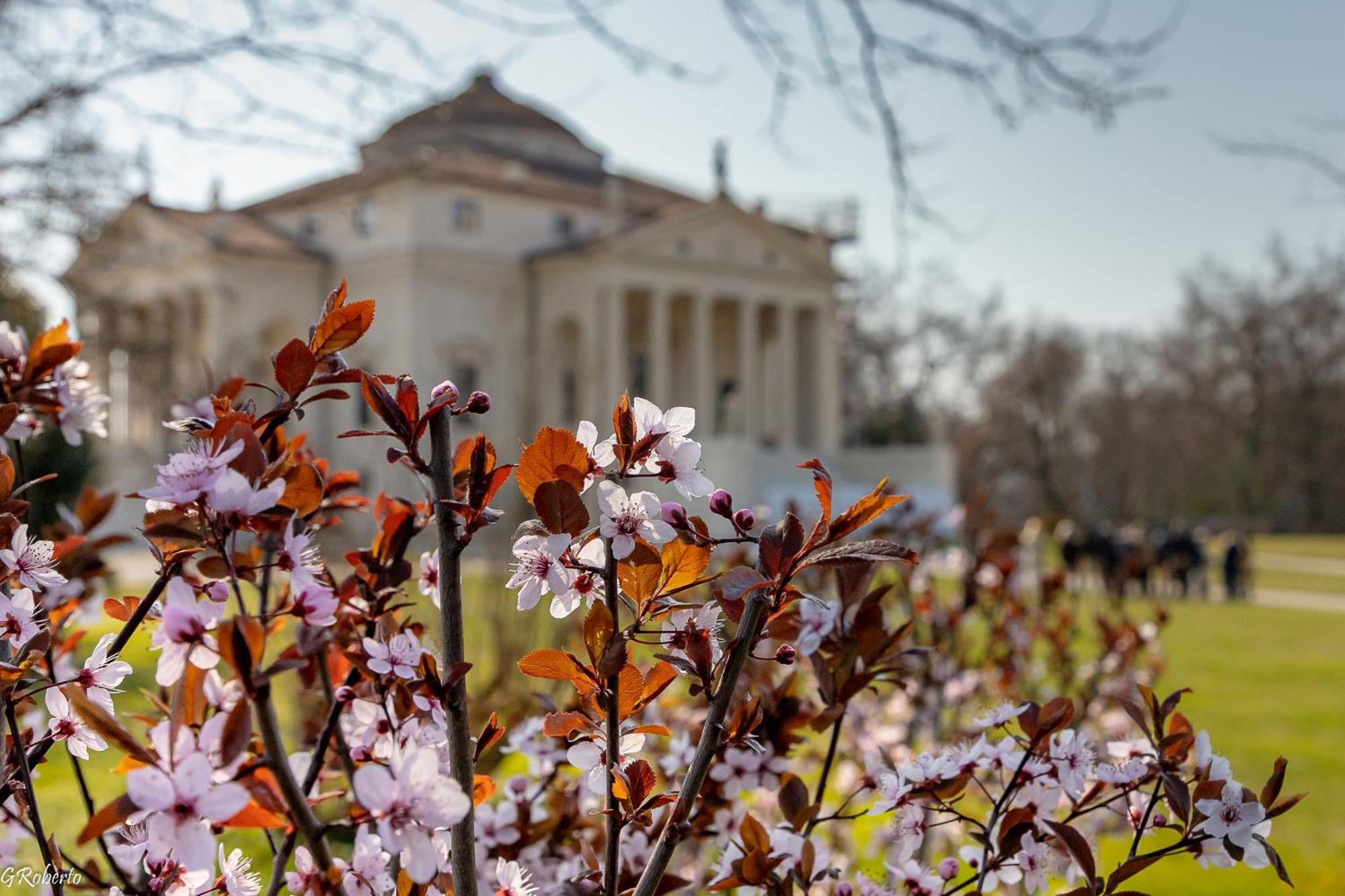 Appartamentopalladio140 Vicenza Eksteriør bilde